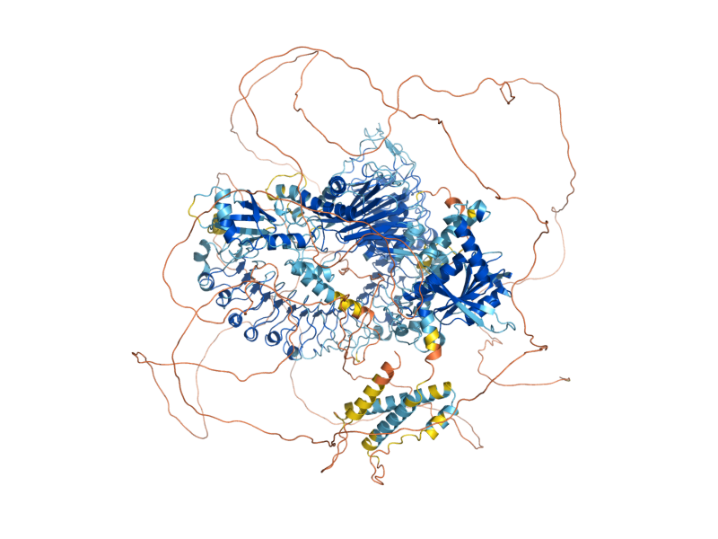 AlphaFold predicted structure of CYR1