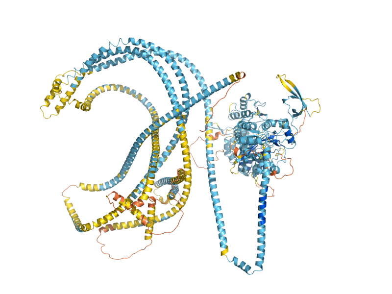 AlphaFold predicted structure of MYO1