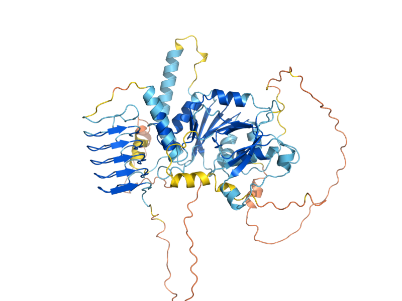 AlphaFold predicted structure of GCD1