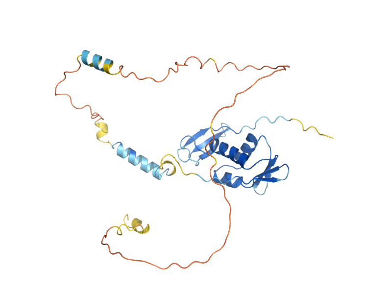 AlphaFold predicted structure of SUI3