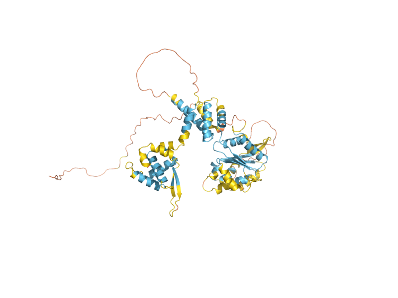 AlphaFold predicted structure of CDC6