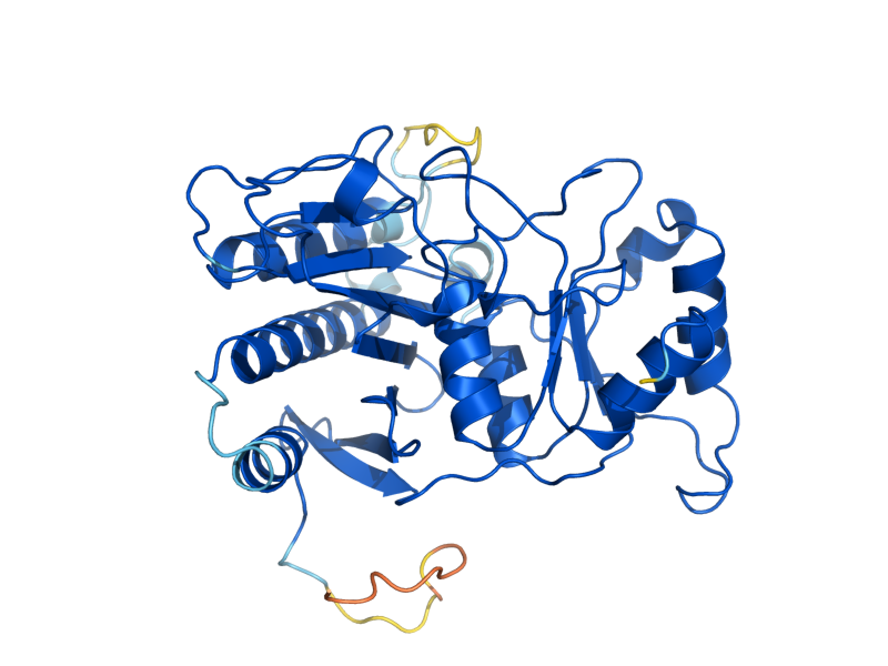 AlphaFold predicted structure of FBP1