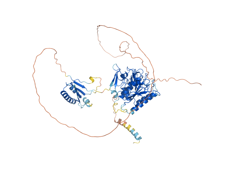 AlphaFold predicted structure of PRB1