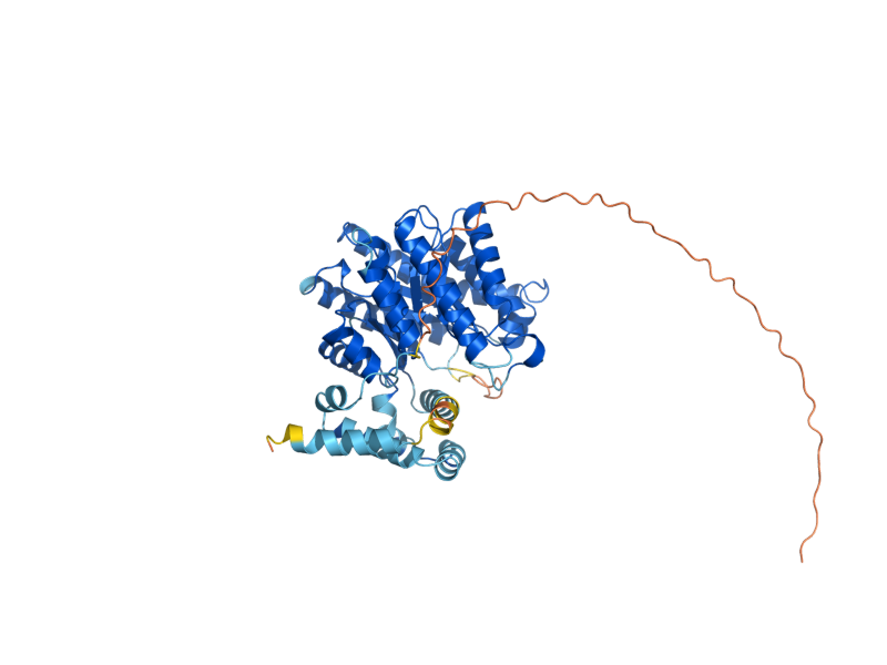 AlphaFold predicted structure of PUT1