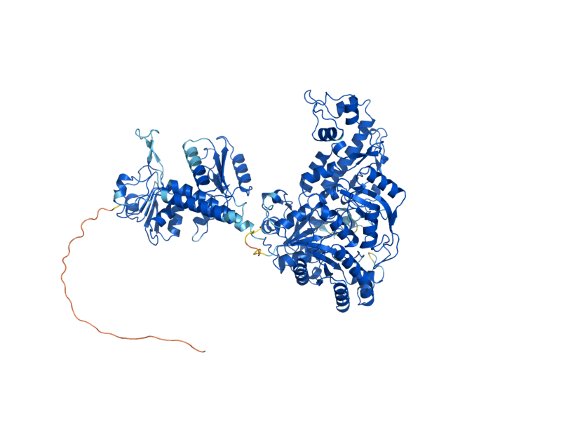 AlphaFold predicted structure of MIS1
