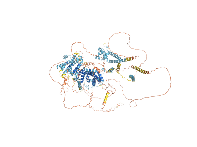 AlphaFold predicted structure of SWI1