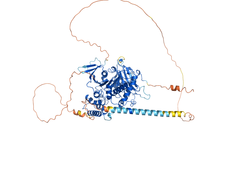 AlphaFold predicted structure of KEX1