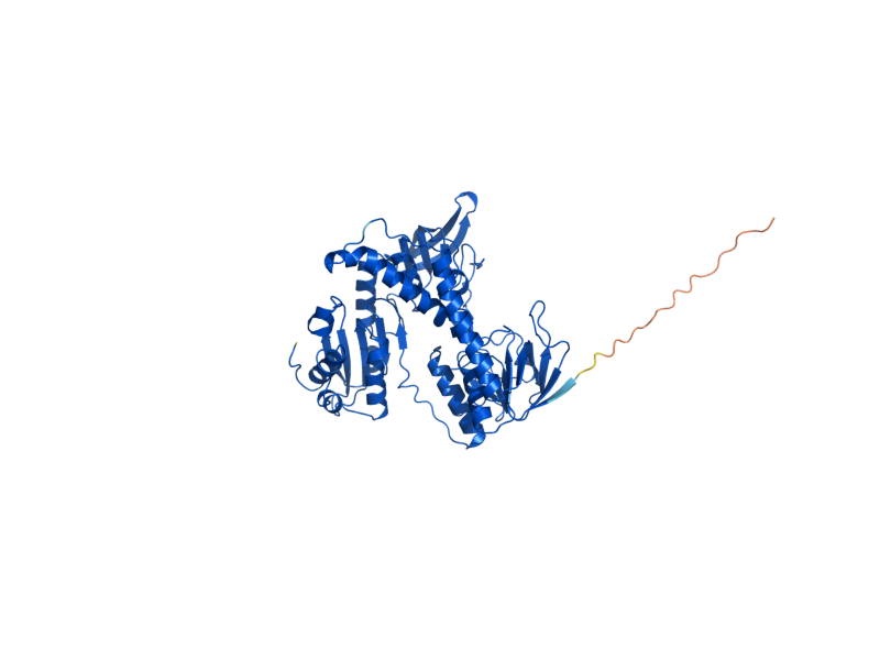 AlphaFold predicted structure of LPD1