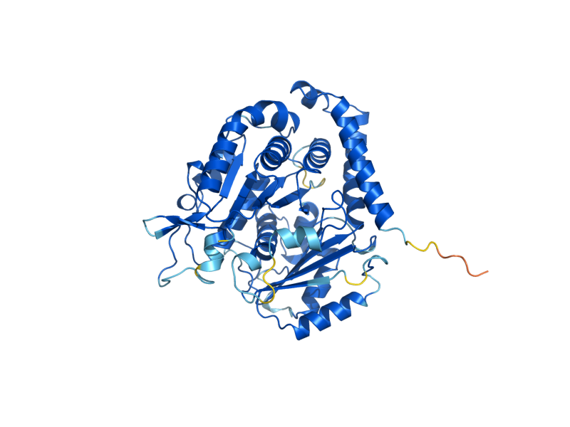 AlphaFold predicted structure of TUB1