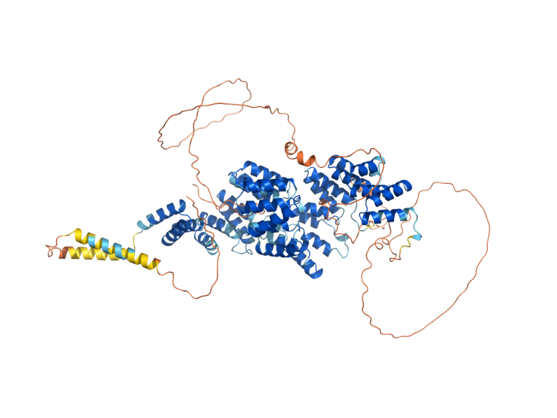 AlphaFold predicted structure of CDC16