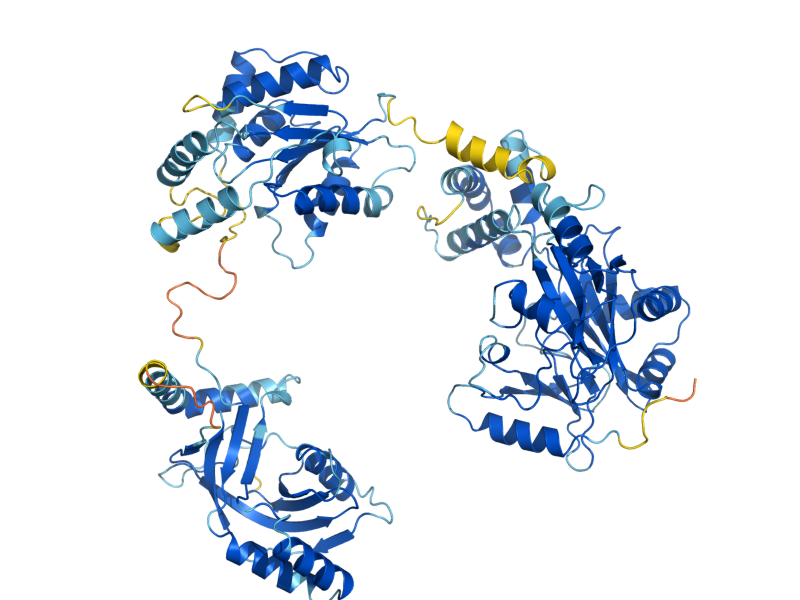 AlphaFold predicted structure of TRL1