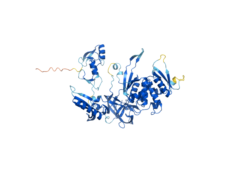 AlphaFold predicted structure of HO
