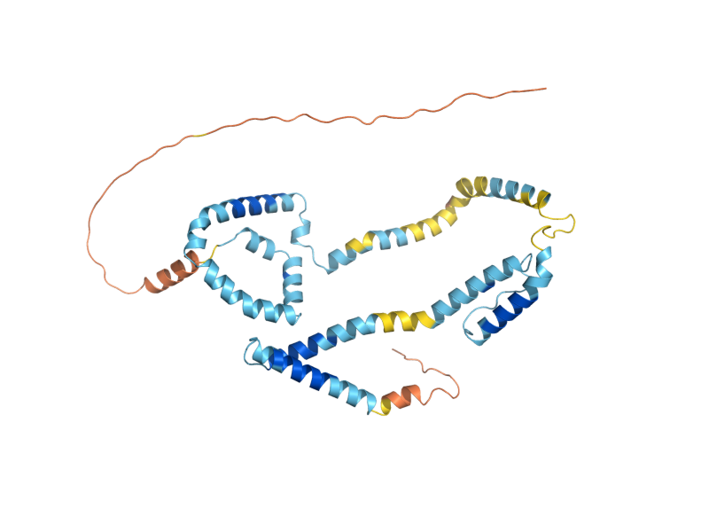 AlphaFold predicted structure of SPS4