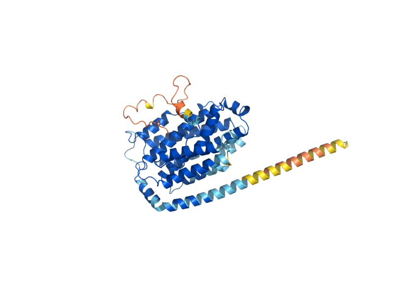 AlphaFold predicted structure of RNR2
