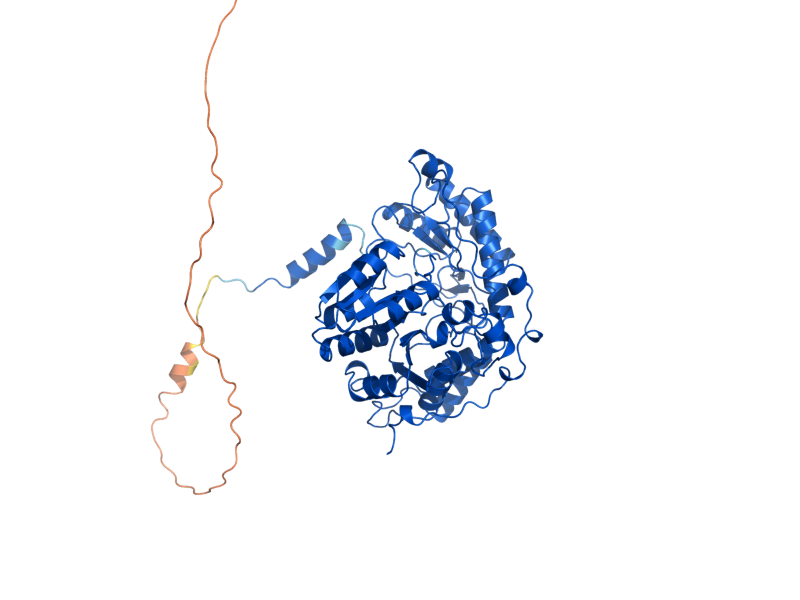 AlphaFold predicted structure of HEM1