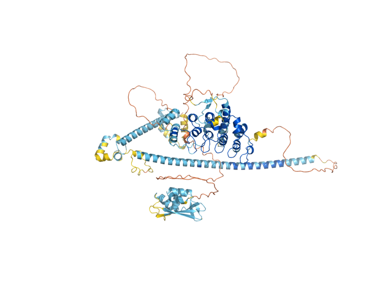 AlphaFold predicted structure of SWI6