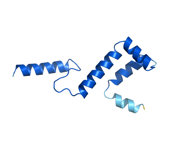 AlphaFold predicted structure of YSF3