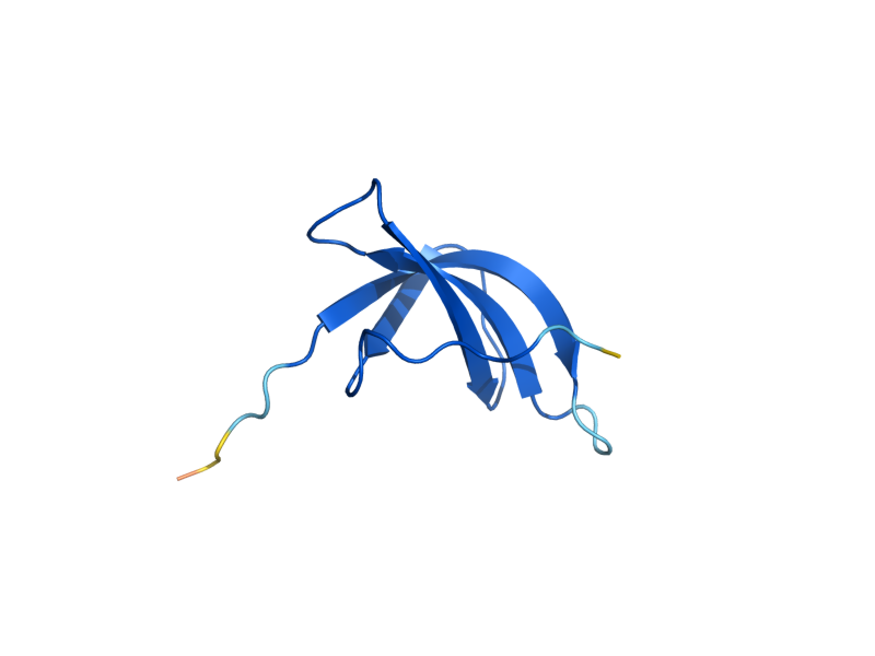 AlphaFold predicted structure of RPS28B