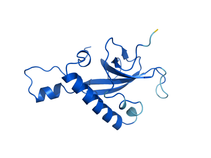 AlphaFold predicted structure of RPL27A
