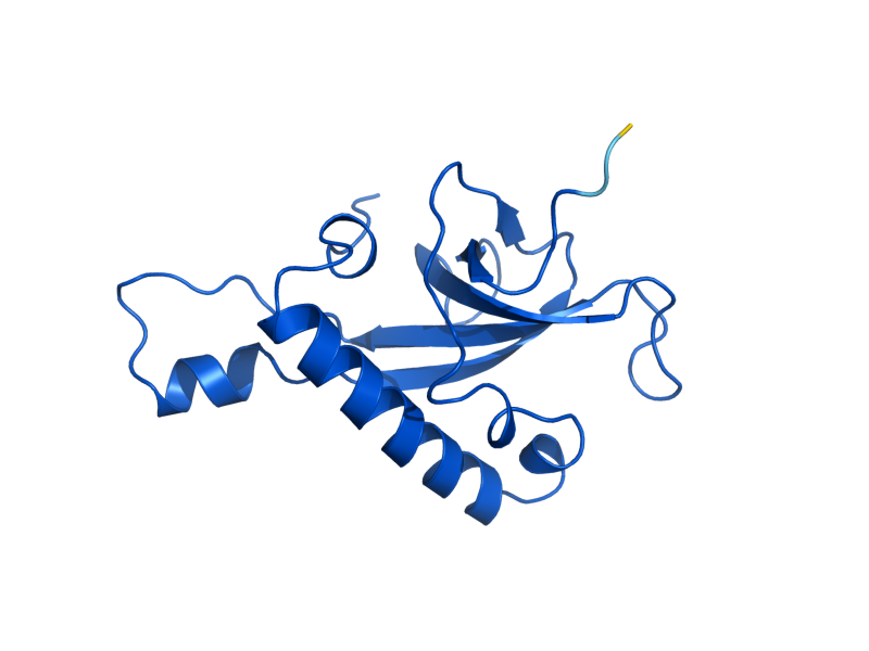 AlphaFold predicted structure of RPL27B