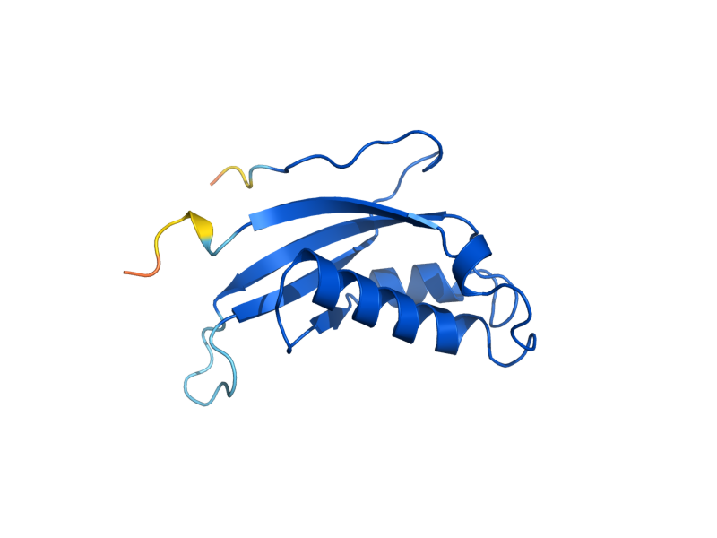 AlphaFold predicted structure of RPL31A
