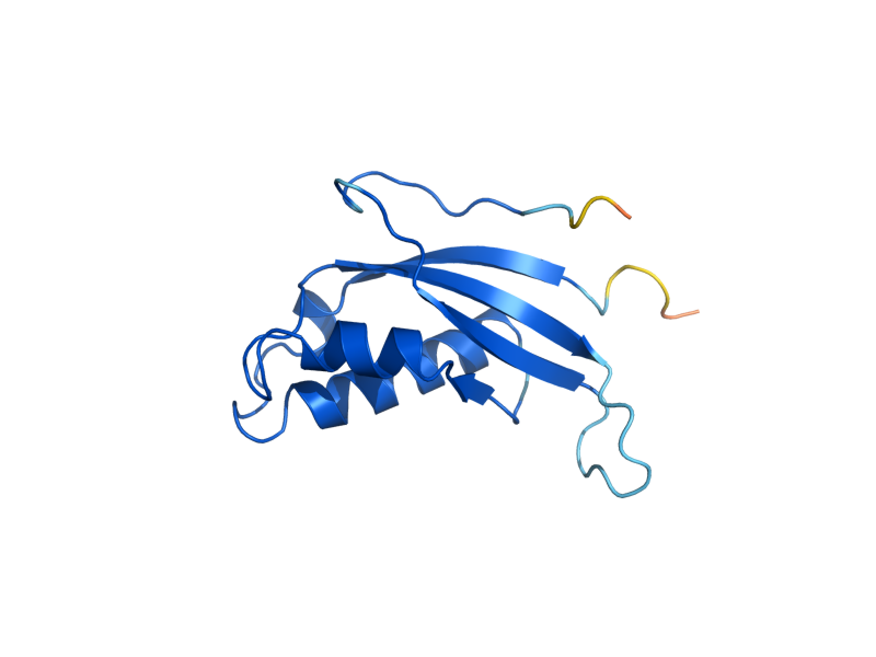 AlphaFold predicted structure of RPL31B