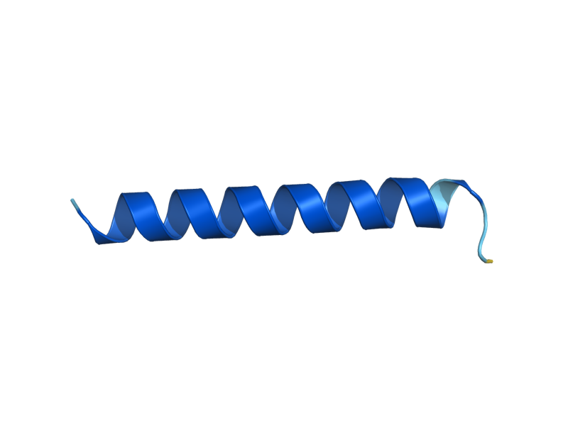 AlphaFold predicted structure of YKL145W-A