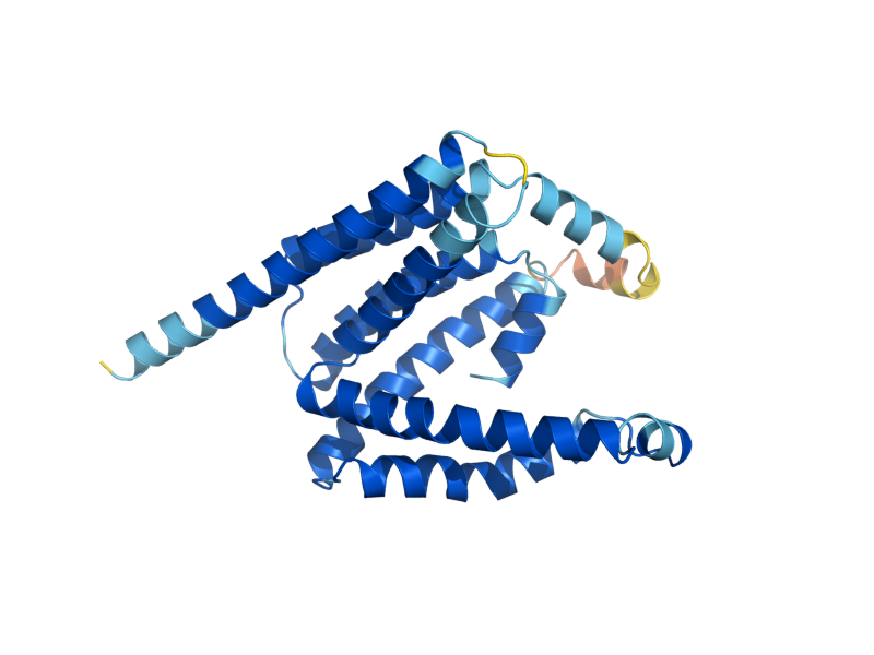 AlphaFold predicted structure of HVG1