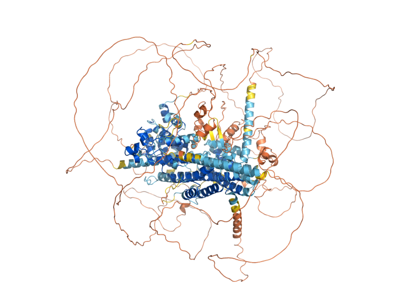 AlphaFold predicted structure of HAP1
