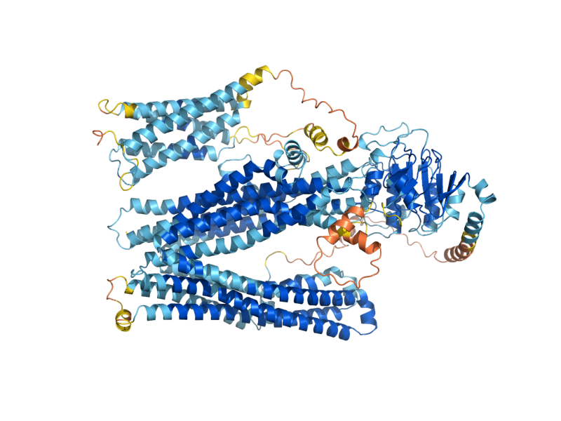 AlphaFold predicted structure of NFT1