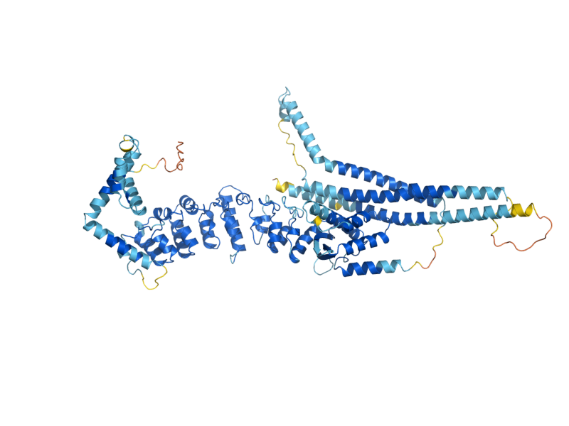 AlphaFold predicted structure of VRL1