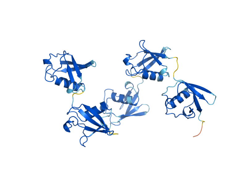 AlphaFold predicted structure of UBI4