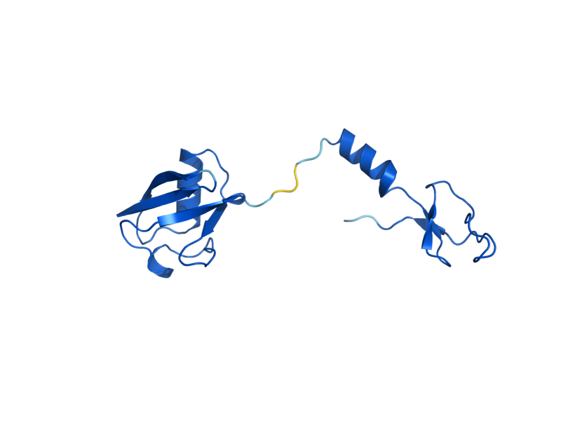 AlphaFold predicted structure of RPL40A