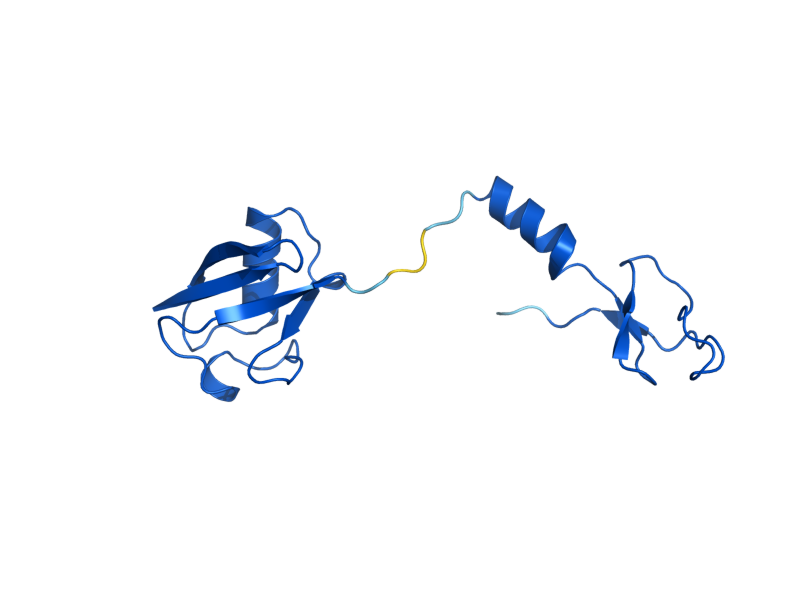 AlphaFold predicted structure of RPL40B