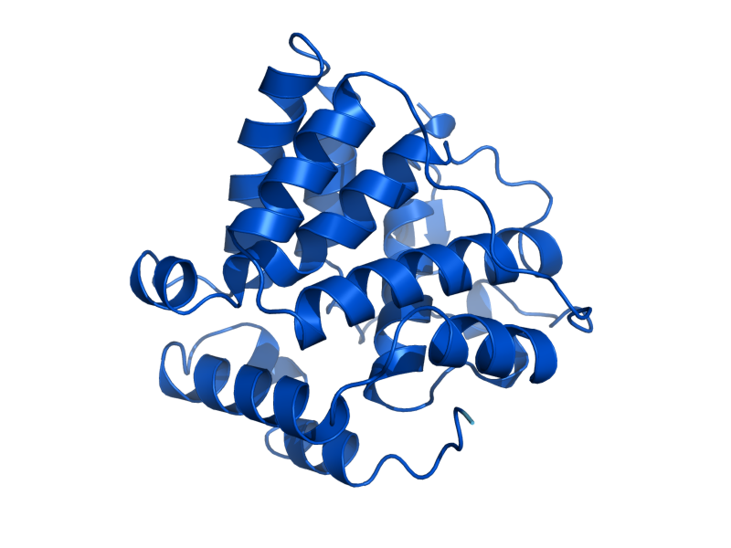 AlphaFold predicted structure of DDI2