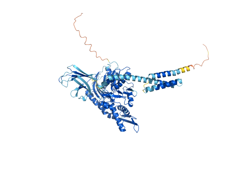 AlphaFold predicted structure of SSC1