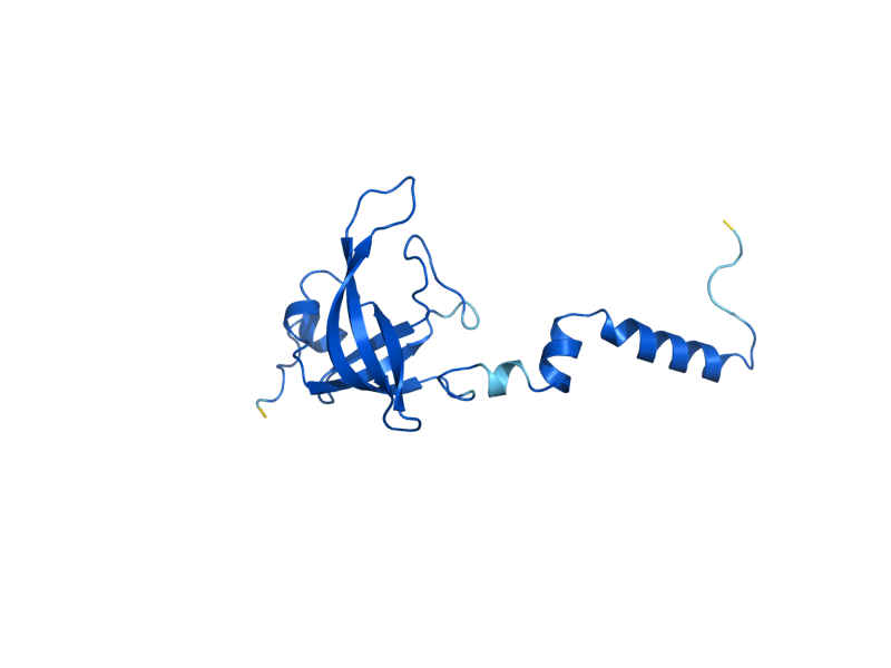 AlphaFold predicted structure of RPS23A