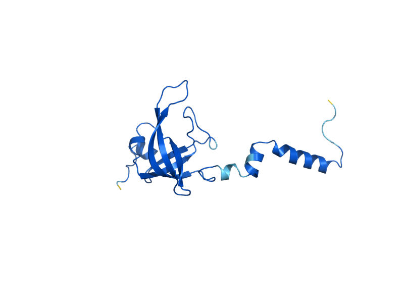AlphaFold predicted structure of RPS23B
