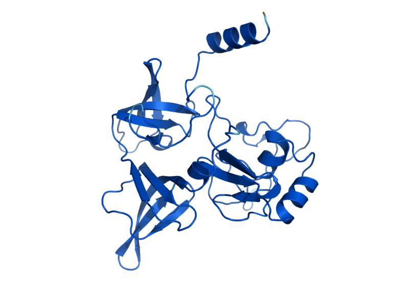 AlphaFold predicted structure of RPS4A