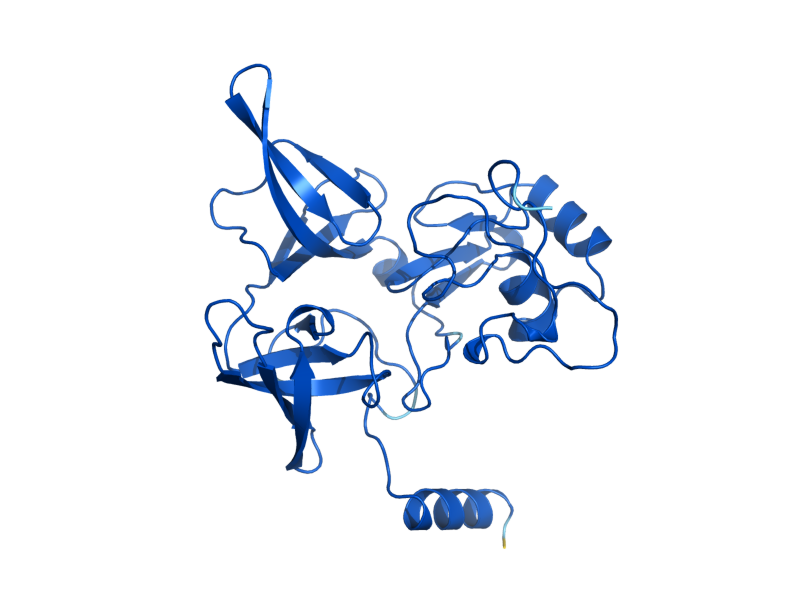 AlphaFold predicted structure of RPS4B