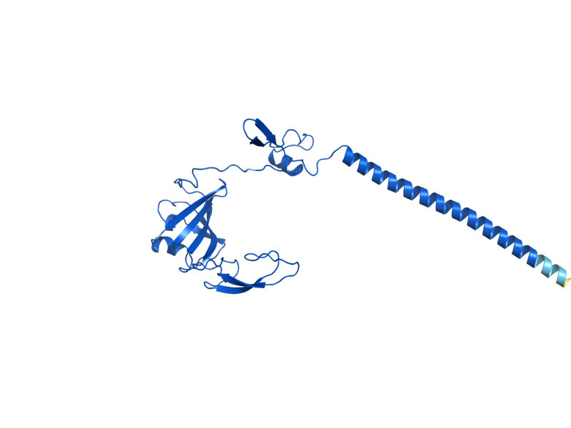 AlphaFold predicted structure of RPS6A