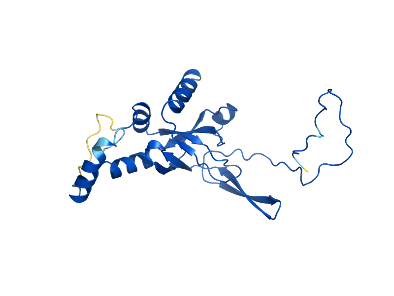 AlphaFold predicted structure of RPS8A