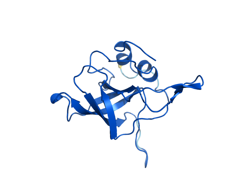 AlphaFold predicted structure of RPL23A