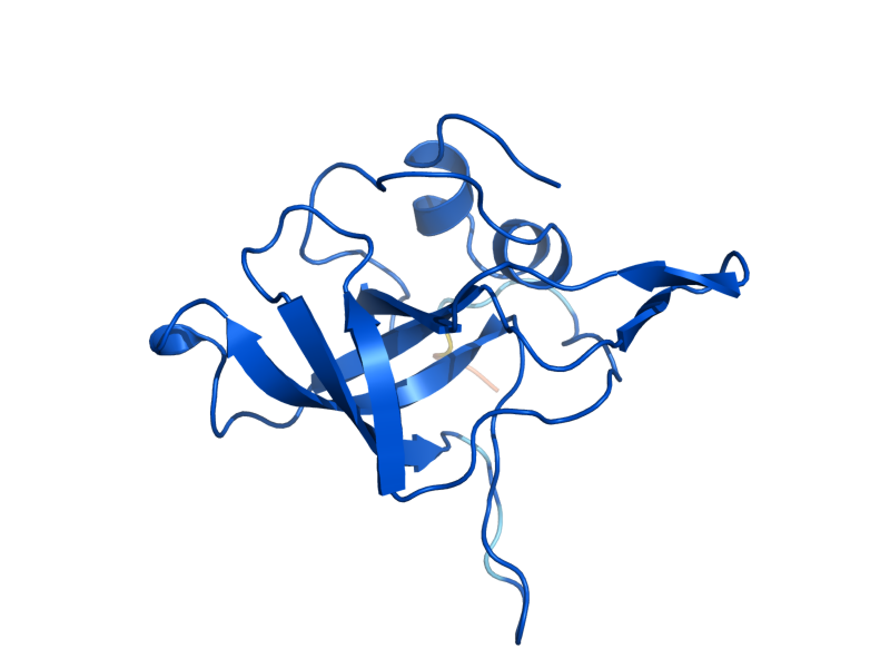 AlphaFold predicted structure of RPL23B