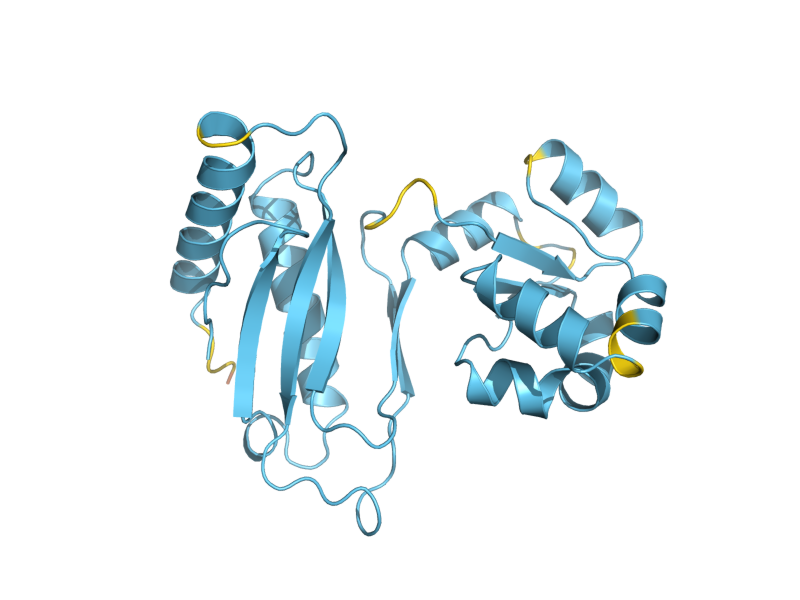 AlphaFold predicted structure of RPL1A