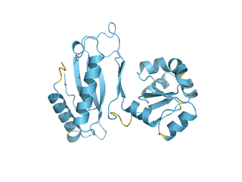 AlphaFold predicted structure of RPL1B