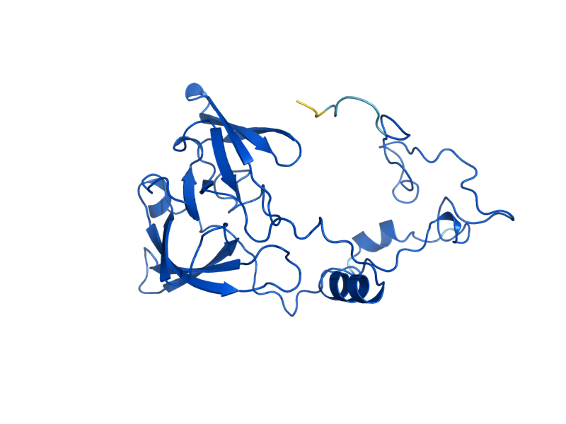 AlphaFold predicted structure of RPL2A