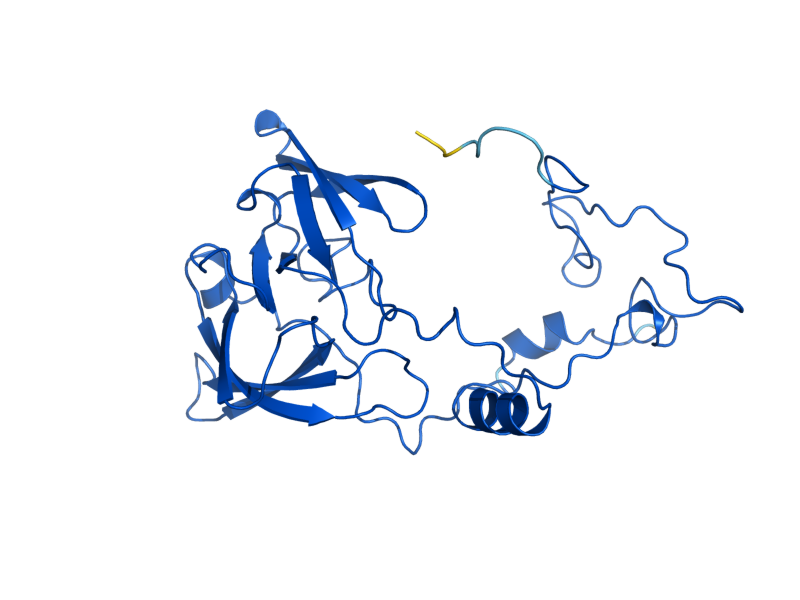 AlphaFold predicted structure of RPL2B