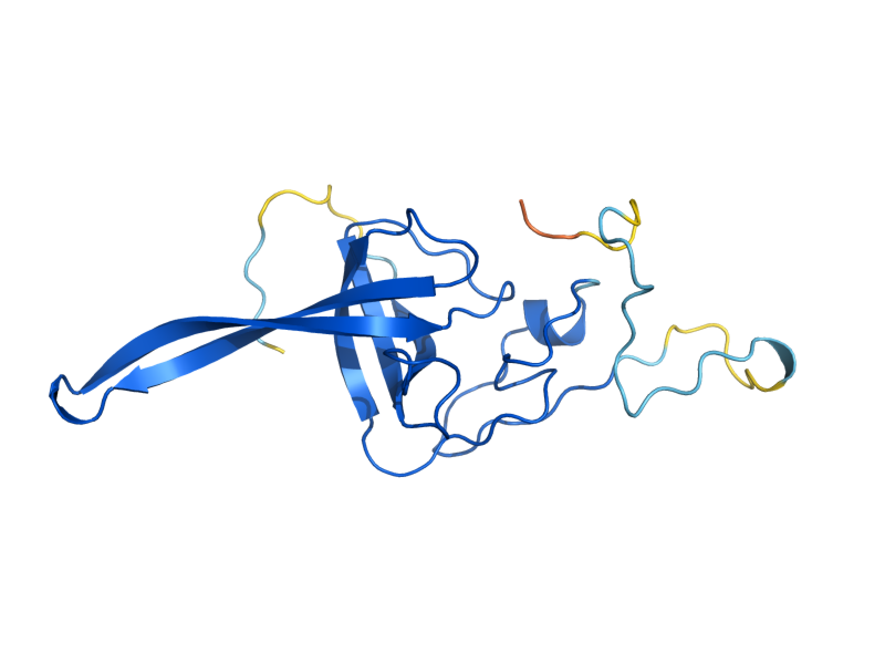 AlphaFold predicted structure of RPS11A