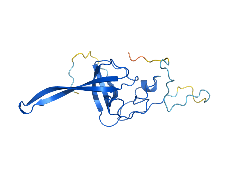 AlphaFold predicted structure of RPS11B
